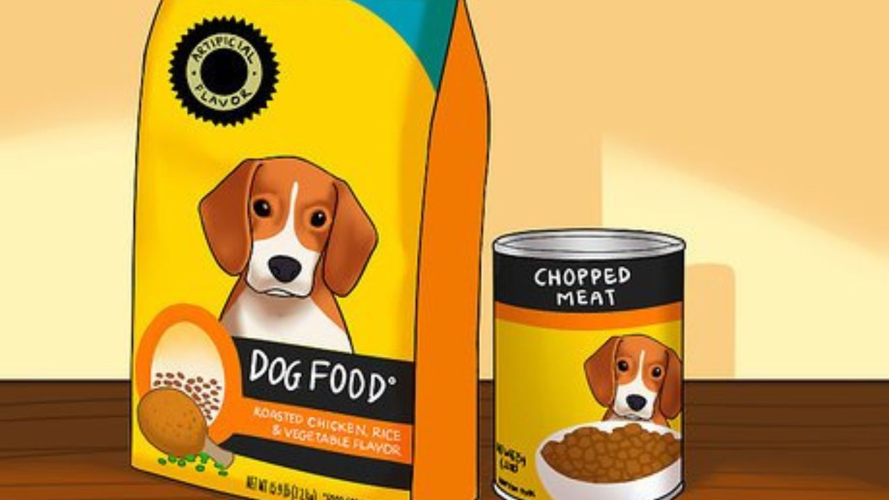Pet Food Industry Faces Its Largest Labeling Overhaul in Four Decades